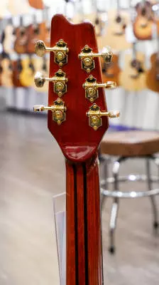 Denver - Orchestra Model Mahogany Top Cutaway Electric Acoustic Guitar - Mahogany 2